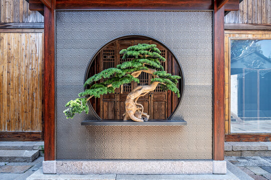 中式玄关松树盆栽布景