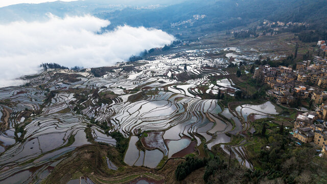 云南元阳梯田风光