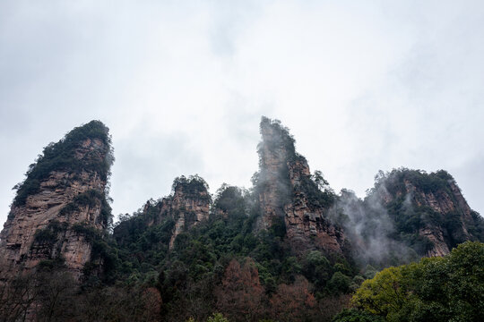 张家界奇峰盛景