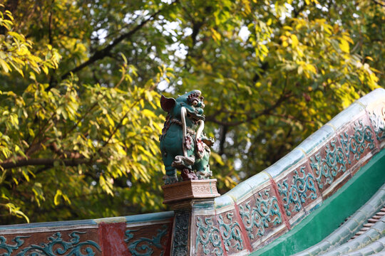 镇宅神兽
