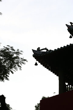 古建筑剪影