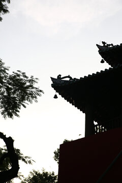 古建筑剪影