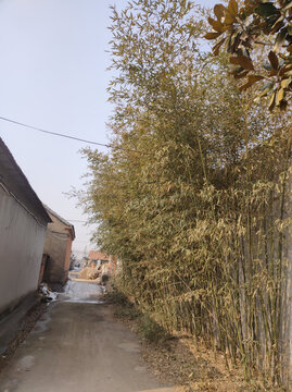 胡同