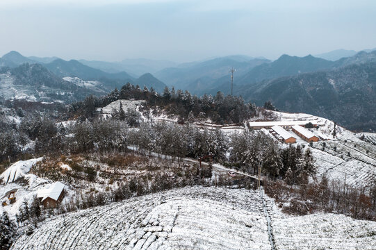 龙王垭冬日雪景