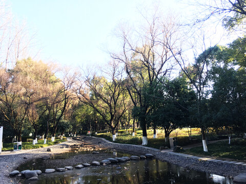 公园