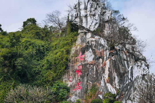 肇庆市七星岩景区