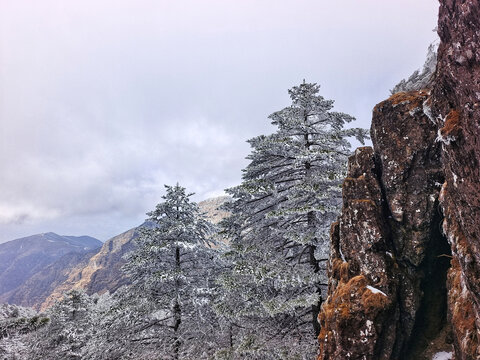 昆明轿子雪山岩石
