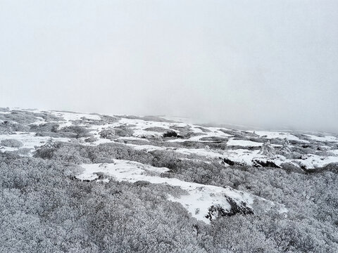 昆明轿子雪山雪后