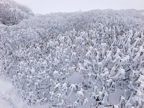 昆明轿子雪山皑皑白雪