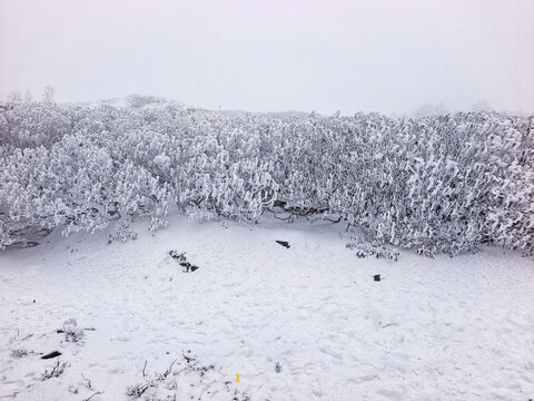 昆明轿子雪山白雪