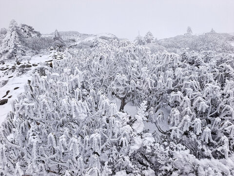昆明轿子雪山雪世界
