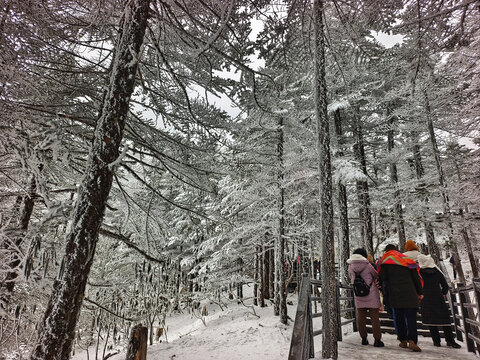 昆明轿子雪山登山者