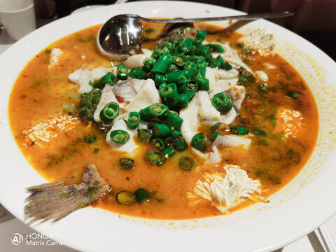 酸菜豆花鱼
