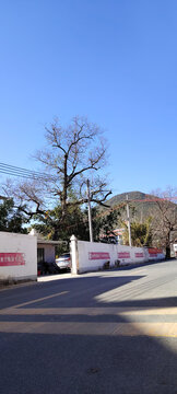 小镇风光