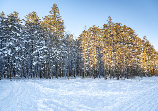 老李克湖雪景