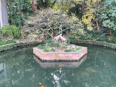 盆栽