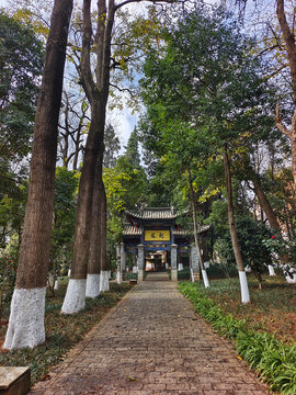 云南大学小径