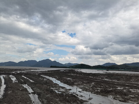 海滩
