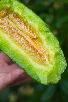 博洋72