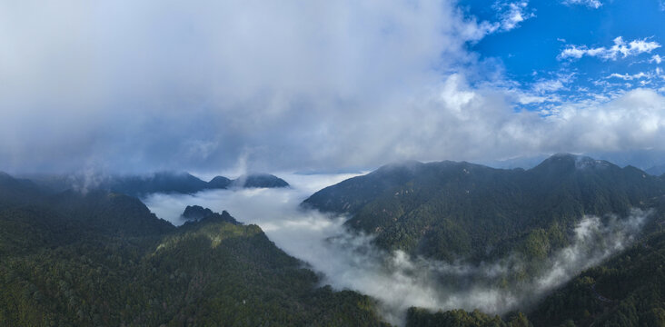 湖南郴州莽山将军寨风景区云海全景