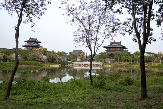 海珠湖风光