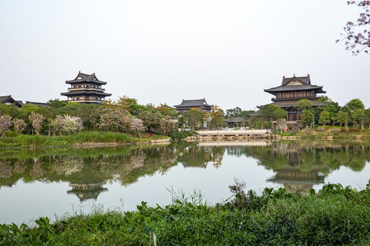 海珠湖畔