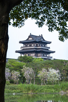 海珠湖风景