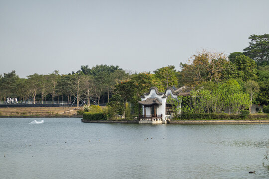 海珠湖