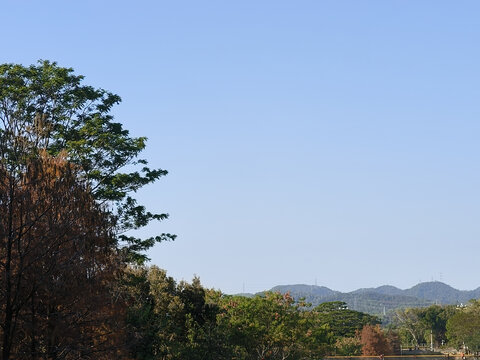 风景
