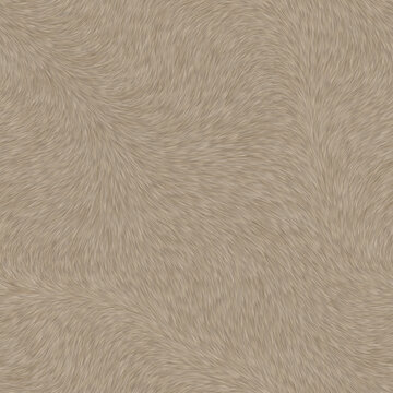 动物毛发纹理