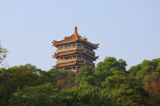 鸿鹄楼