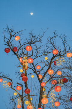 北京模式口大街新年氛围