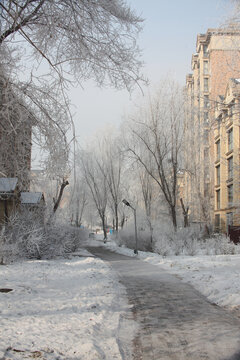 雪树银花