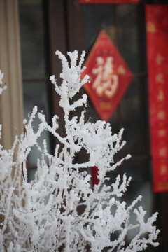 福来到