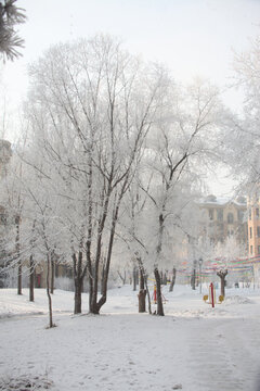 雪树银花