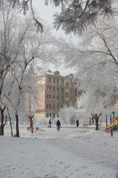 雪淞