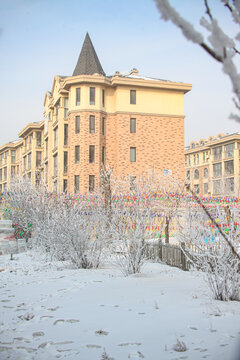雪树银花