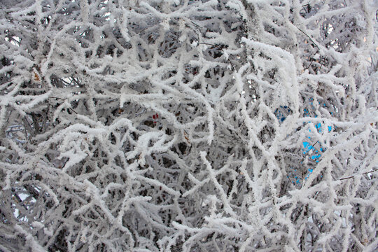 雪淞