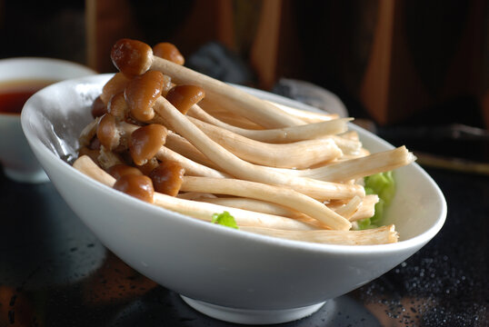 茶树菇