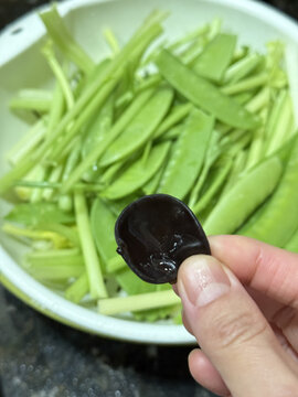 鲜木耳