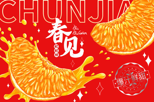 春见耙耙柑包装插画