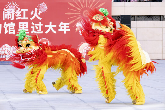 舞狮