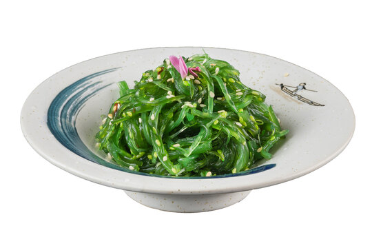 中华海草