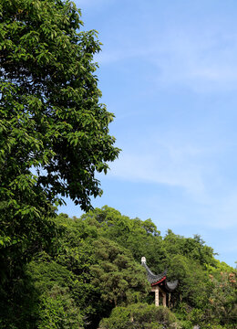 山间小亭