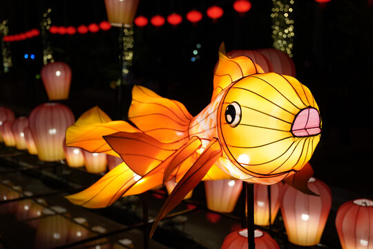 元宵节赏花灯鱼灯春节