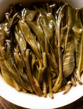 云南普洱茶生茶叶底