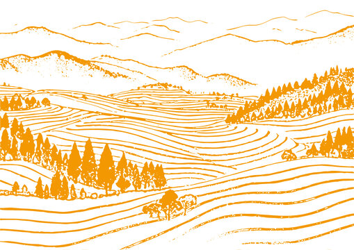 茶山茶园插图版画素描底纹包装矢量图