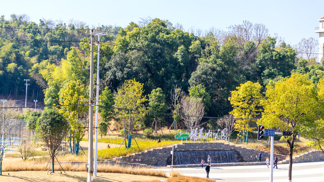 鹅羊山公园风光