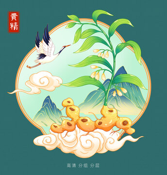 黄精国风插画