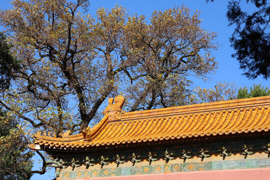 南京文武方门